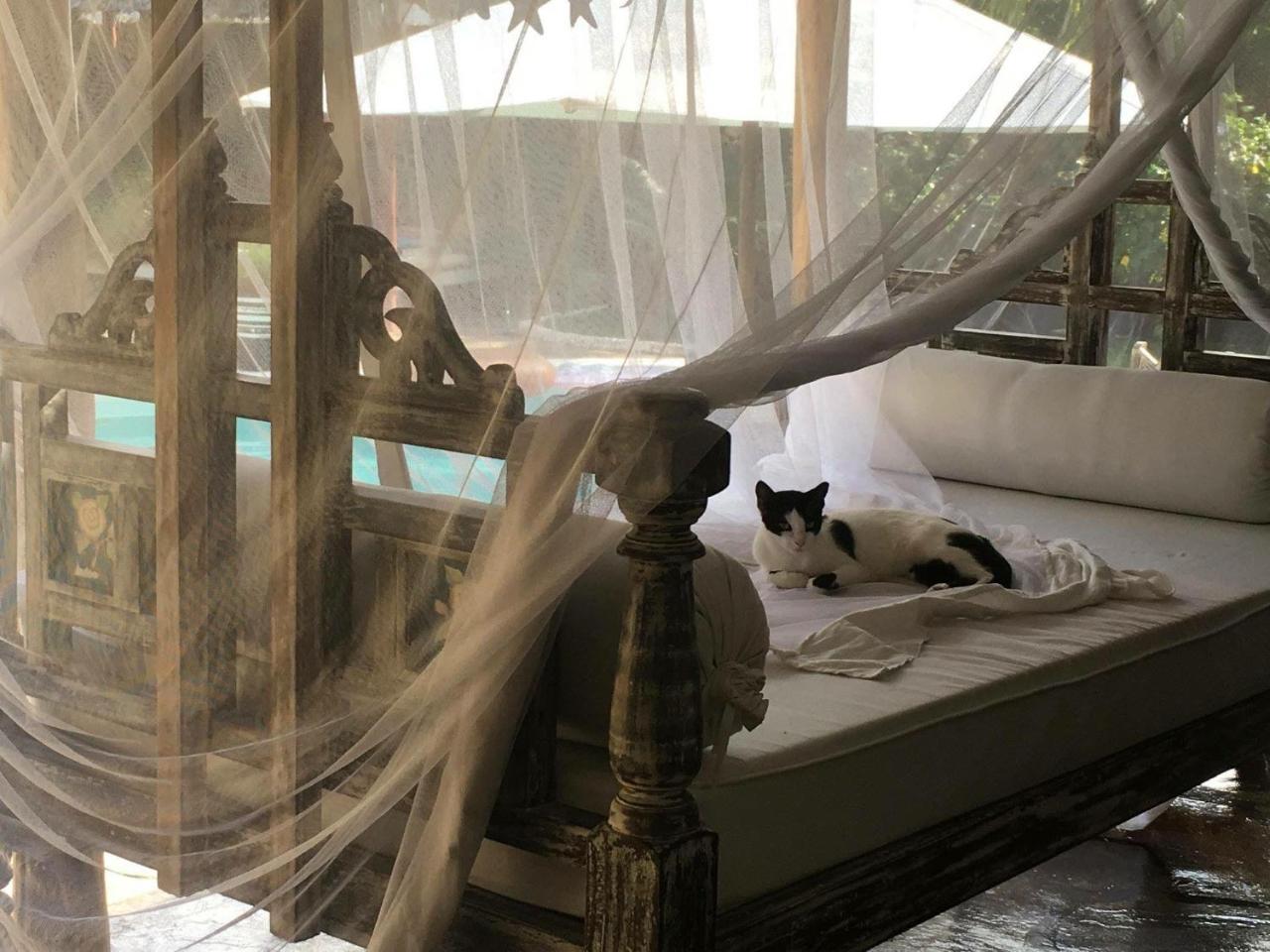 Bed and Breakfast Pashmina House Watamu Exterior foto